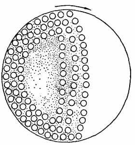Рис. 6. Схема движения шаров в шаровой мельнице.